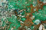 Polished Slab Of Malachite, Chrysocolla & Quartz - Australia #351981-2